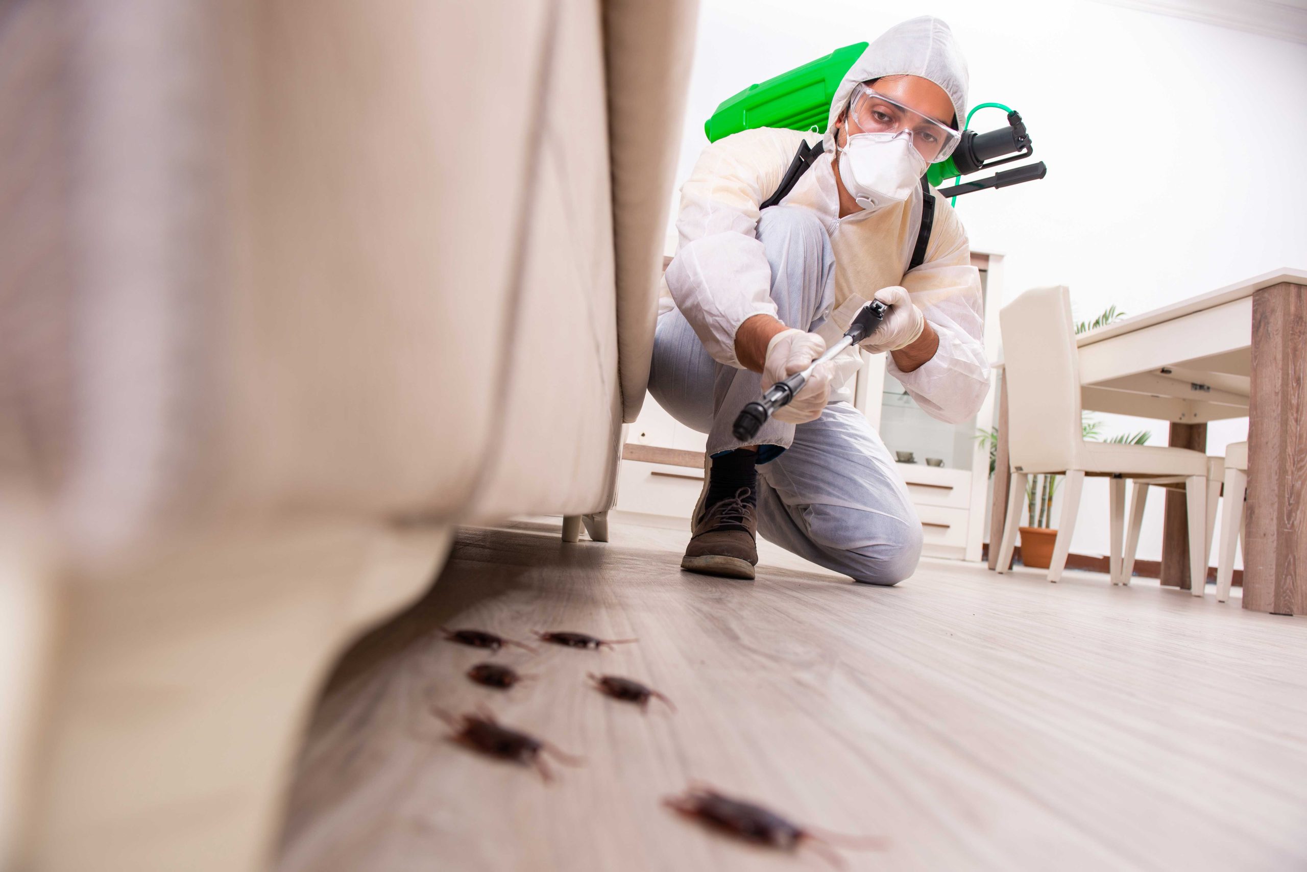 Pest-Control experts in Murfreesboro specializing in prevention and eradication of various pests. Don't let pests damage your property and endanger your health.